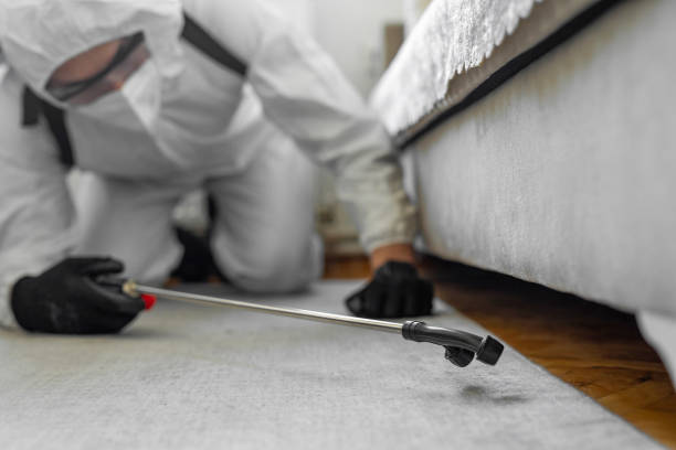 Professional Termite Control technician working in Hahira, GA