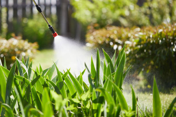 24/7 Emergency Termite Control experts in Hahira, GA