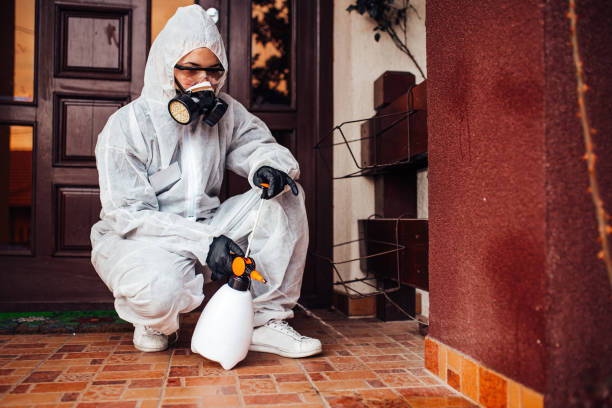 Reliable Termite Control contractor in Hahira, GA by Nex Pest Control