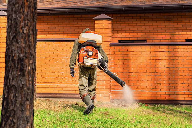 Trusted Cockroach Control service in Hahira, GA - Nex Pest Control